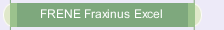 FRENE Fraxinus Excel